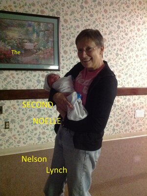 cover image of The Second Noelle